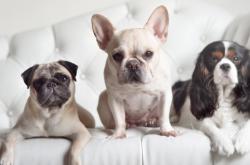 开云体育在线-平行宇宙入口打开？数据揭示北京队绝杀勇士与杜兰特带队取胜同时成立