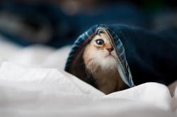 开云体育平台APP-绝地逆转！巴黎见证王皓的封神之战