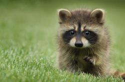 开云体育官网-新王炸裂旧宇宙！浙江青春风暴席卷勇士，马克西44分打碎卫冕冠军光环