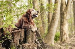 开云体育登录-那道蓝色闪电，阿克如何在一个与别不同的世界杯之夜写下沉默的篇章