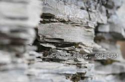 开云体育平台APP-胜负一线，唯有他看见那记不存在于战术板的绝杀—克瓦拉茨赫利亚，在心跳归零的战场