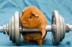 开云体育平台APP-布克空砍62分封神夜，尼克斯末节觉醒掀翻公牛