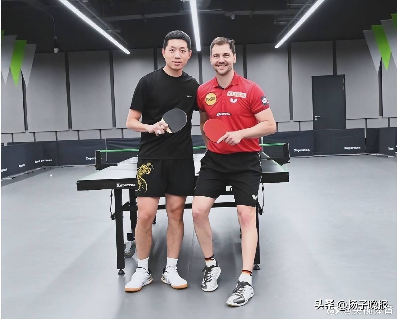 日本乒乓球队鏖战比利时乒乓球队，波尔制霸全场的简单介绍