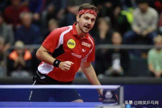 日本乒乓球队鏖战比利时乒乓球队，波尔制霸全场的简单介绍