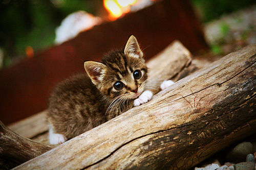 贯穿赛季的双重转折，从联合杯鏖战的险滩到伦敦之巅的惊艳