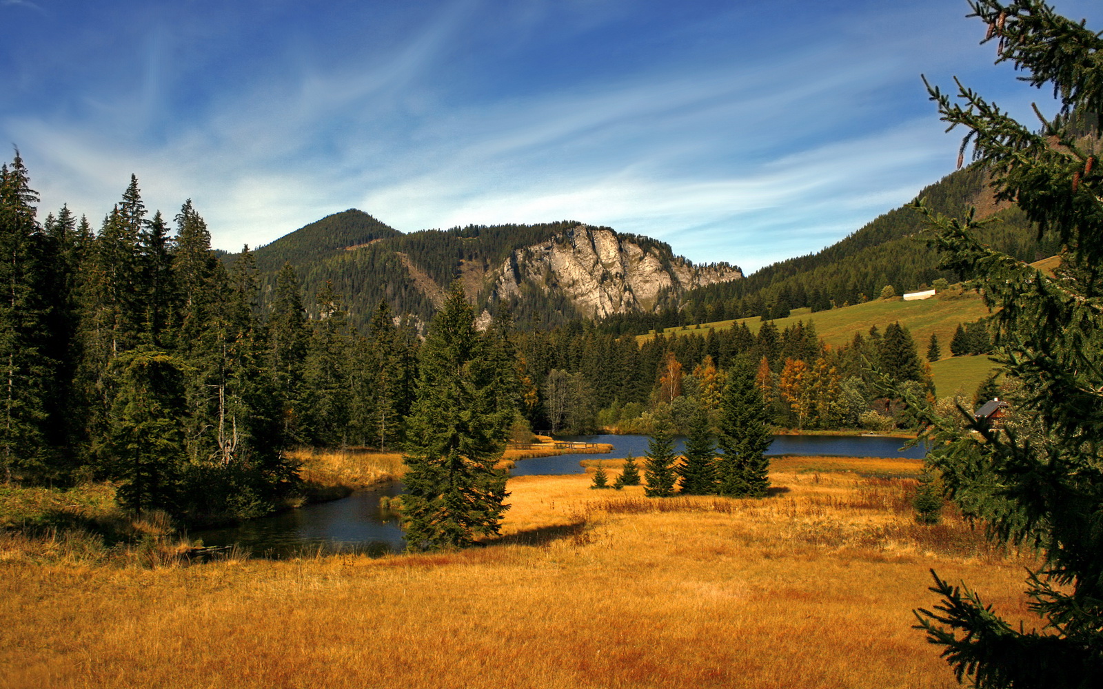 北境新王！西亚卡姆44分撕裂雄鹿防線，猛龍生死戰晉級東決