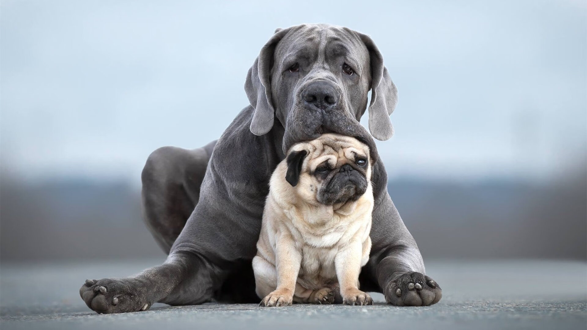 十六号球衣的传奇铸造，布鲁诺连续得分拉开差距的美加墨史诗之夜