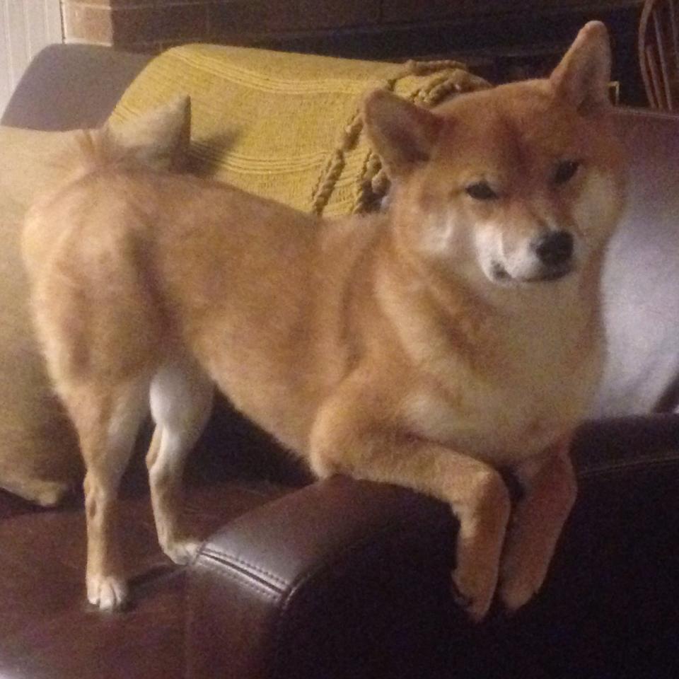 尼日利亚强行终结切尔西！阿克统治级数据铸就历史性胜利