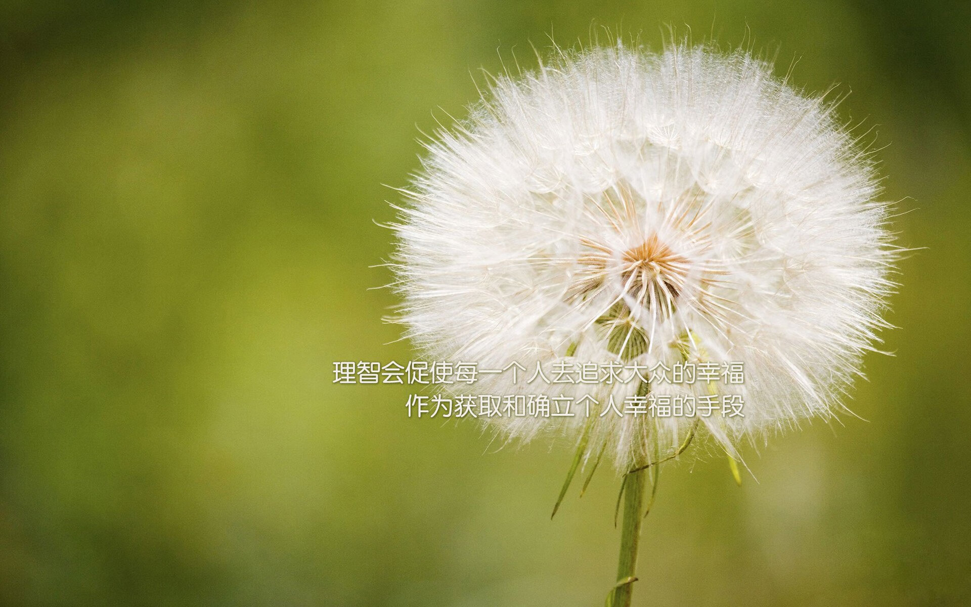 东欧铁骑的沉稳与东亚利刃的锋芒,足球世界的多元交响