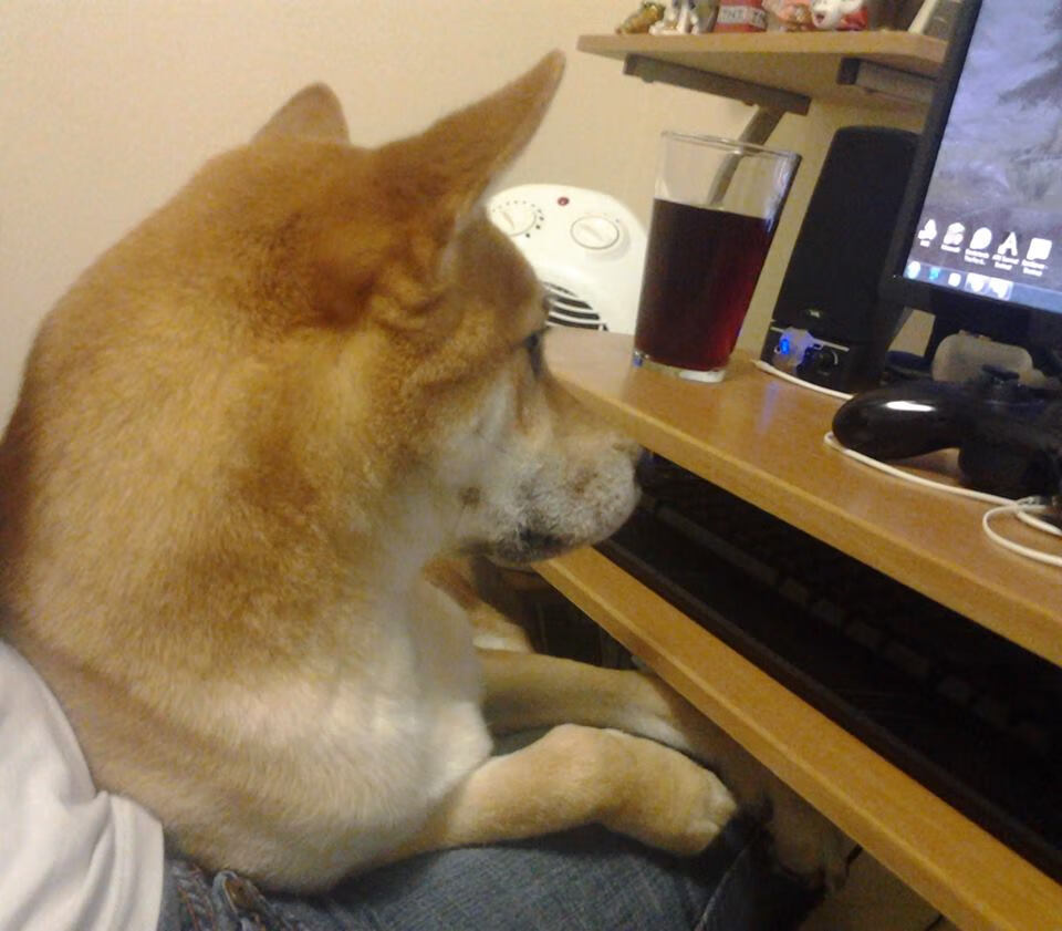 新王与旧盾,摩洛哥的重装锁链,如何在一场欧冠级对决中锁死葡萄牙的黄金一代