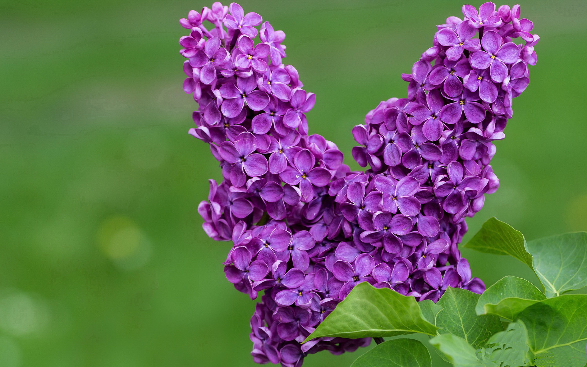 奇才淘汰赛过关广东队,杜兰特2026世界杯接管比赛,篮球世界的跨界交响