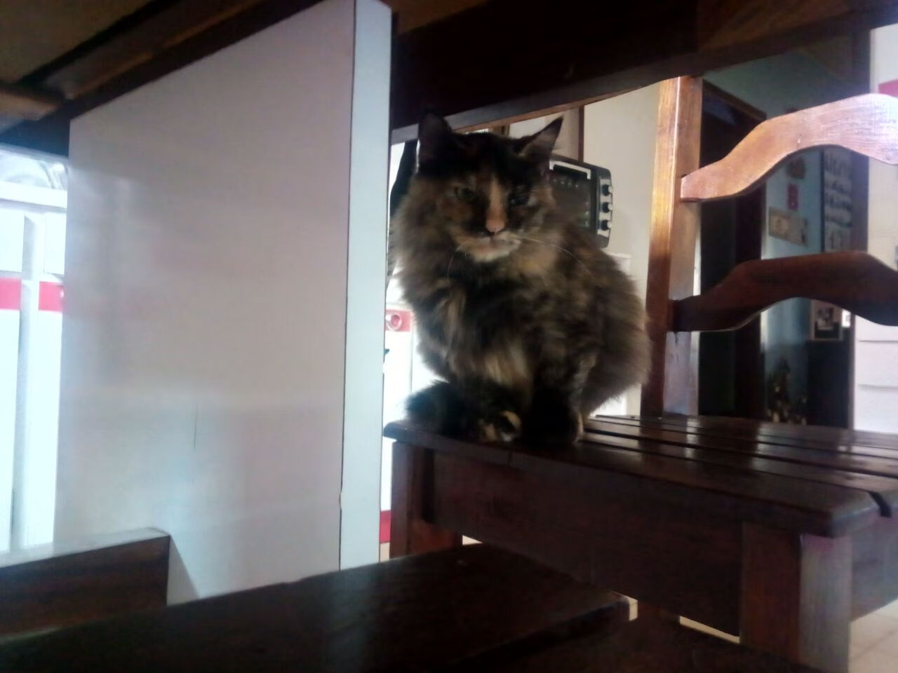 从沉默齿轮到致命武器,西决生死夜,小贾伦如何撕碎双人夹击的剧本?