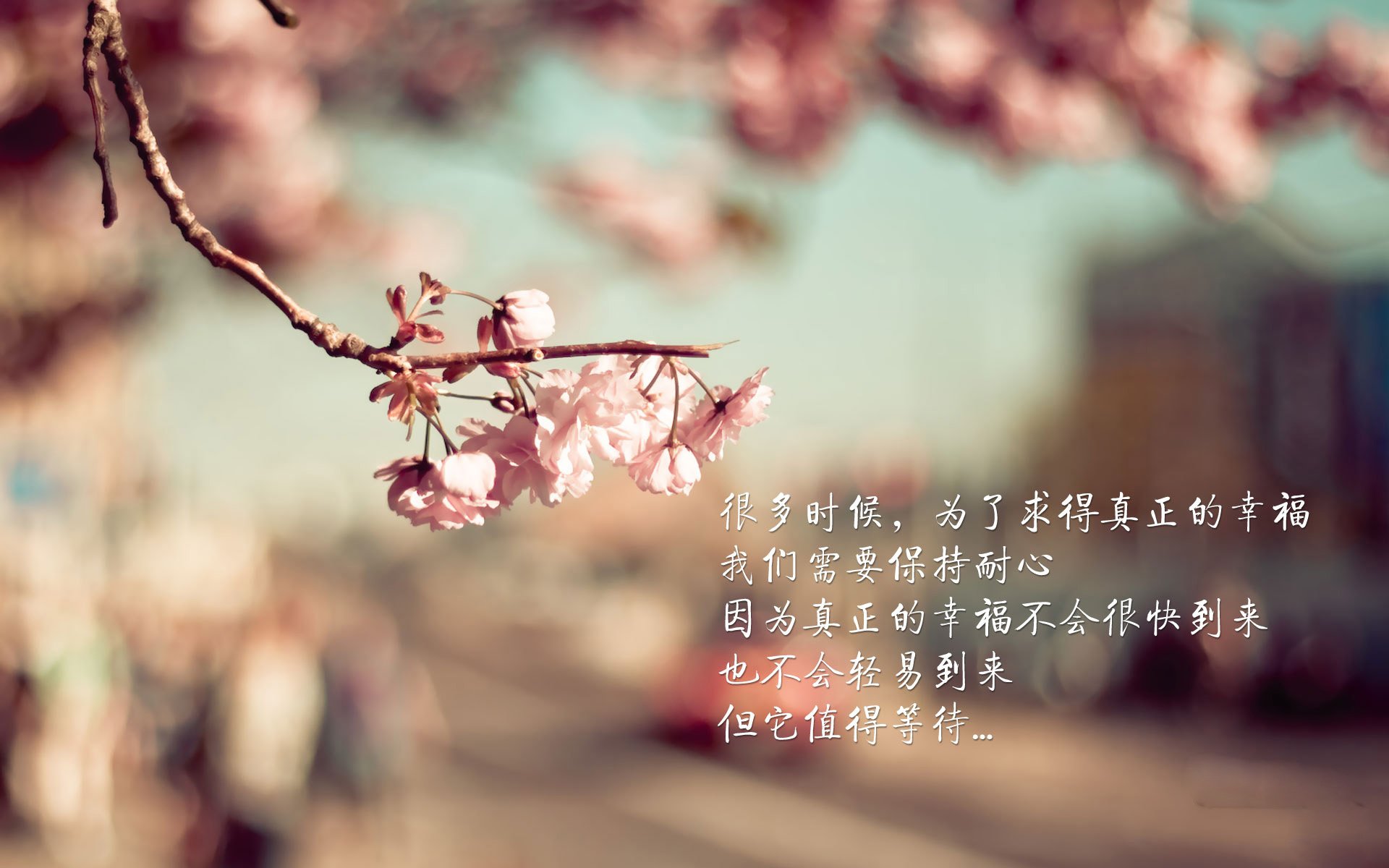 赛道与绿茵的双重奏,巴西在F1街道赛焦点战及足球场上对皇马的压制艺术