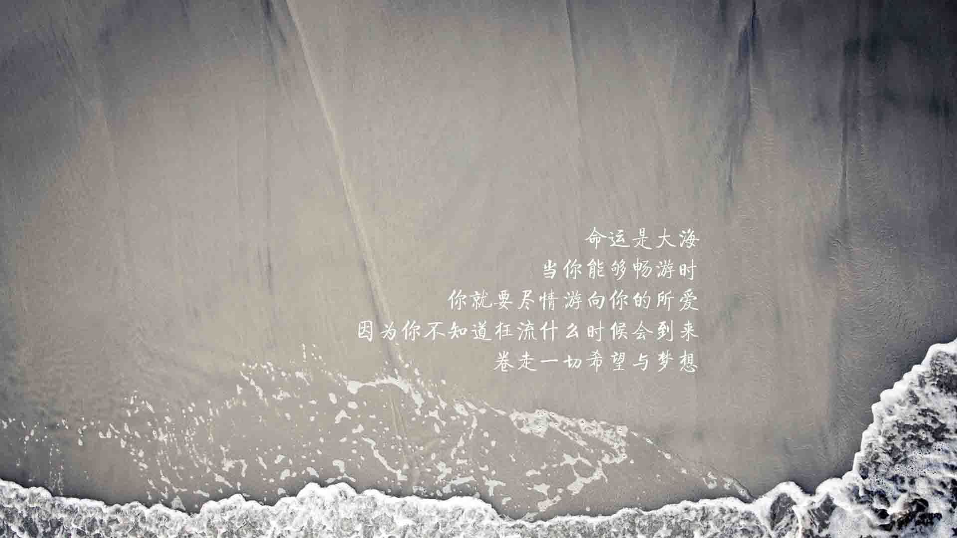 蓝色狂飙,2026世界杯G组焦点战,挪威大胜印度,哈基米用控球谱写唯一篇章