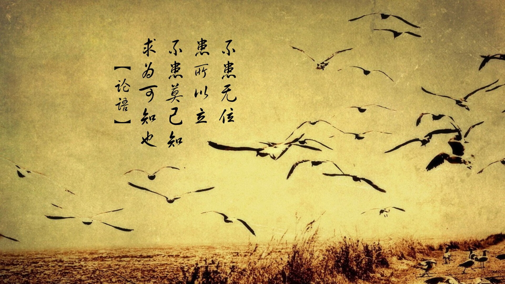 六届轮回,一剑封喉,2026世界杯E组葡萄牙VS波兰,C罗以不朽之躯书写唯一剧本