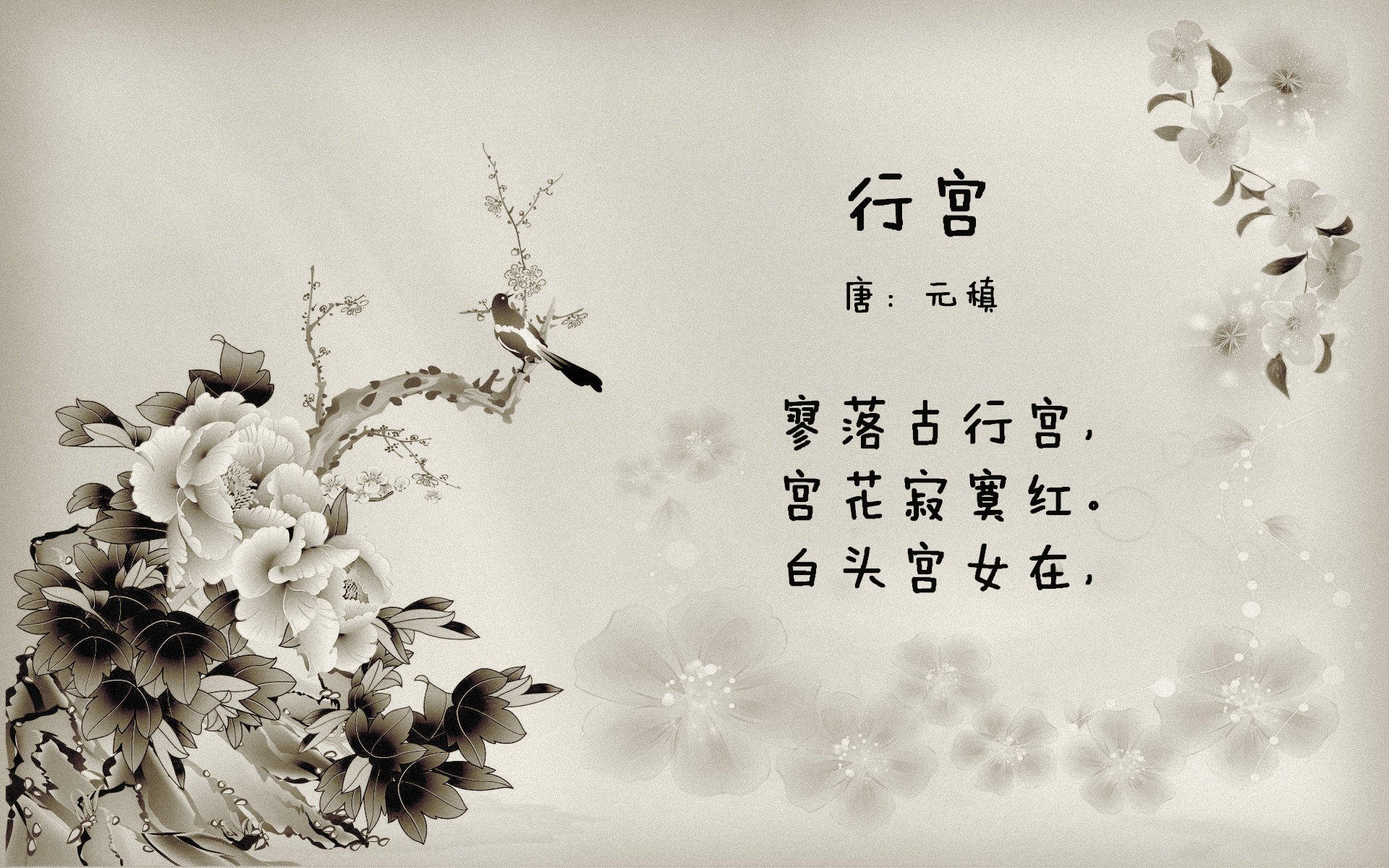 唯一的剧本，当碾压成为史诗，凯恩在加纳的废墟上，为2026世界杯E组写下不可复制的注脚