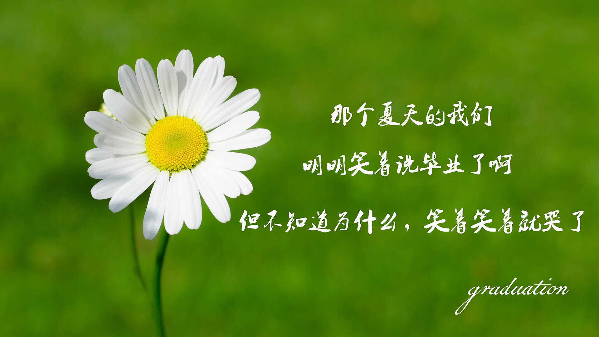 唯一性的夜晚，当卢卡库的阴影笼罩纽约，斯洛伐克在2026世界杯H组写下命运的唯一解